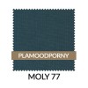 WZ_MOLY77_PL.jpg