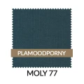 WZ_MOLY77_PL.jpg