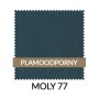 WZ_MOLY77_PL.jpg