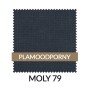 WZ_MOLY79_PL.jpg