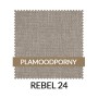 WZ_REBEL24_PL.jpg