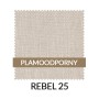 WZ_REBEL25_PL.jpg
