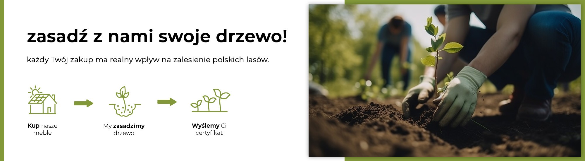 zasadzimy drzewo